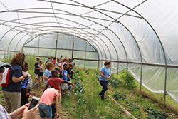 Farm to School 2018 Greenhouse